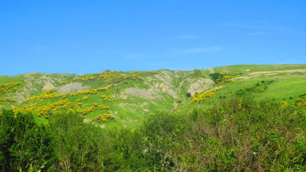 Crete_Senesi_