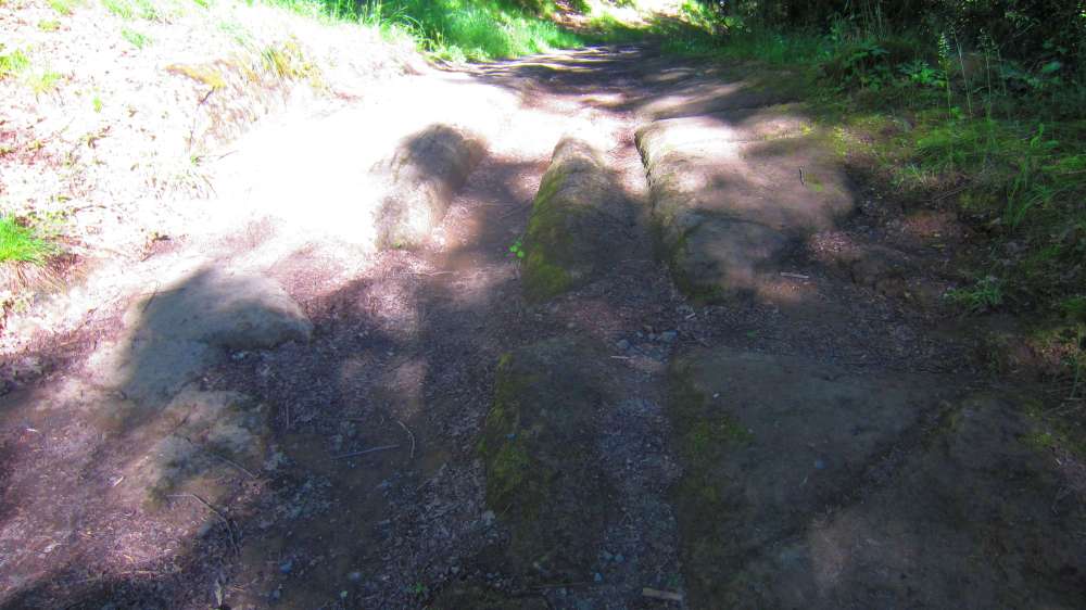 Weg