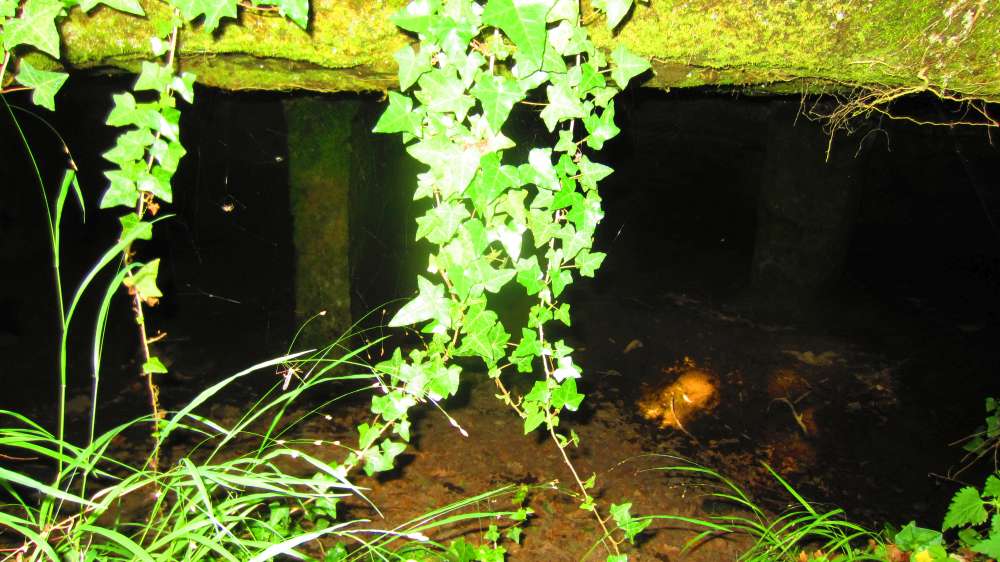 Grotta_12