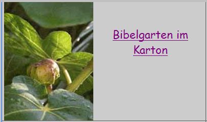 Bibelgarten_im_Karton