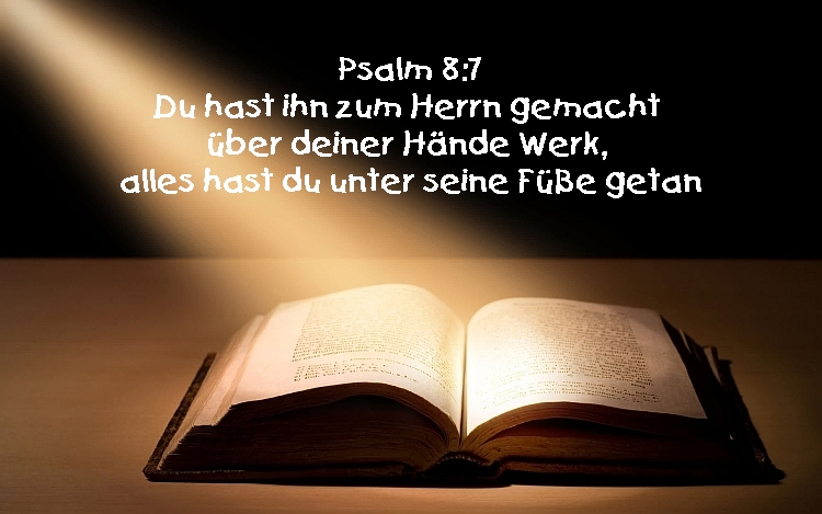 Bibel_Psalm8_6